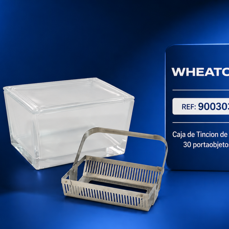 Caja de Tinción para 30 Portaobjetos Wheaton 900303
